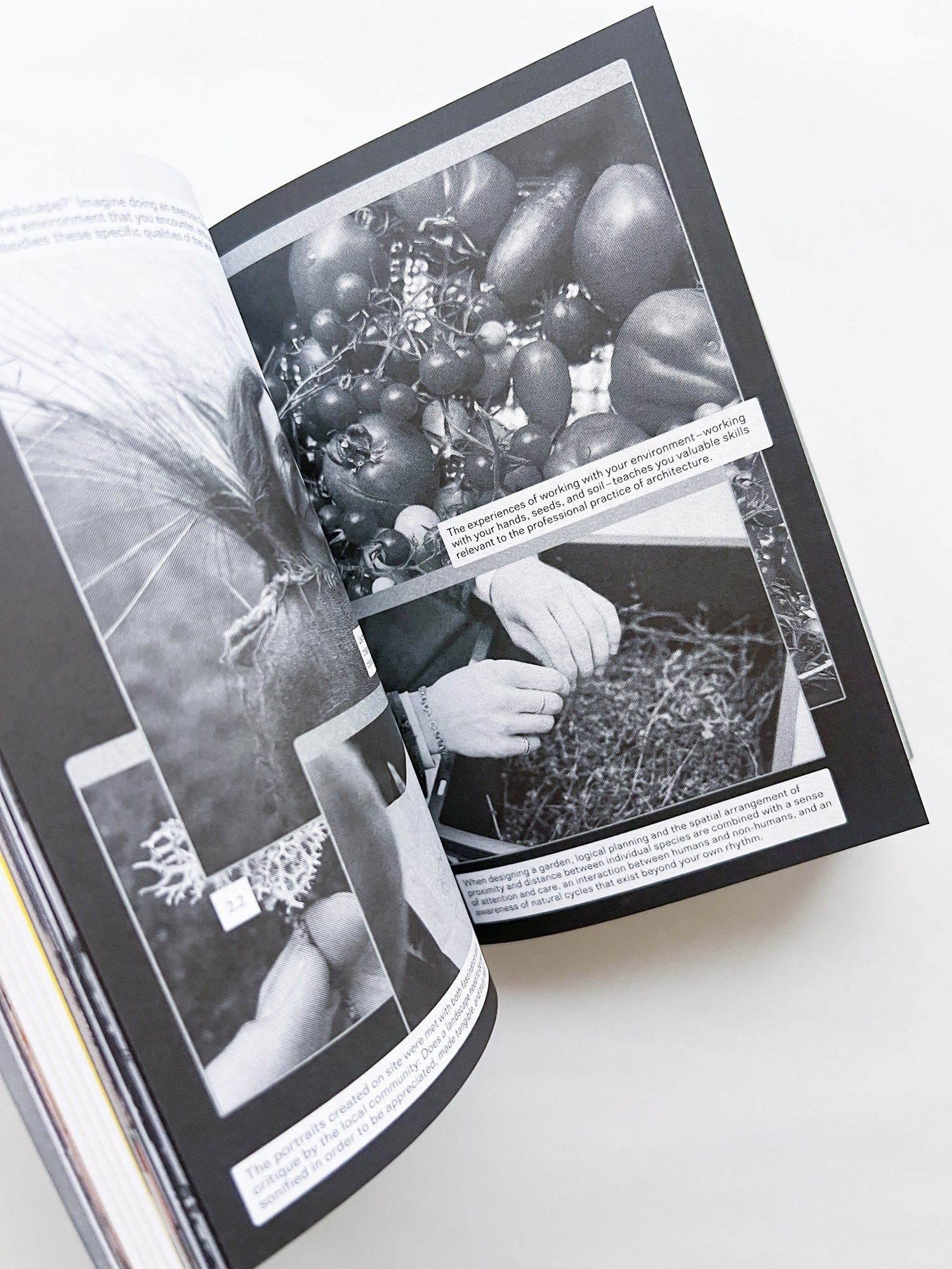 WORKING ON TRANSFORMATION / Newrope