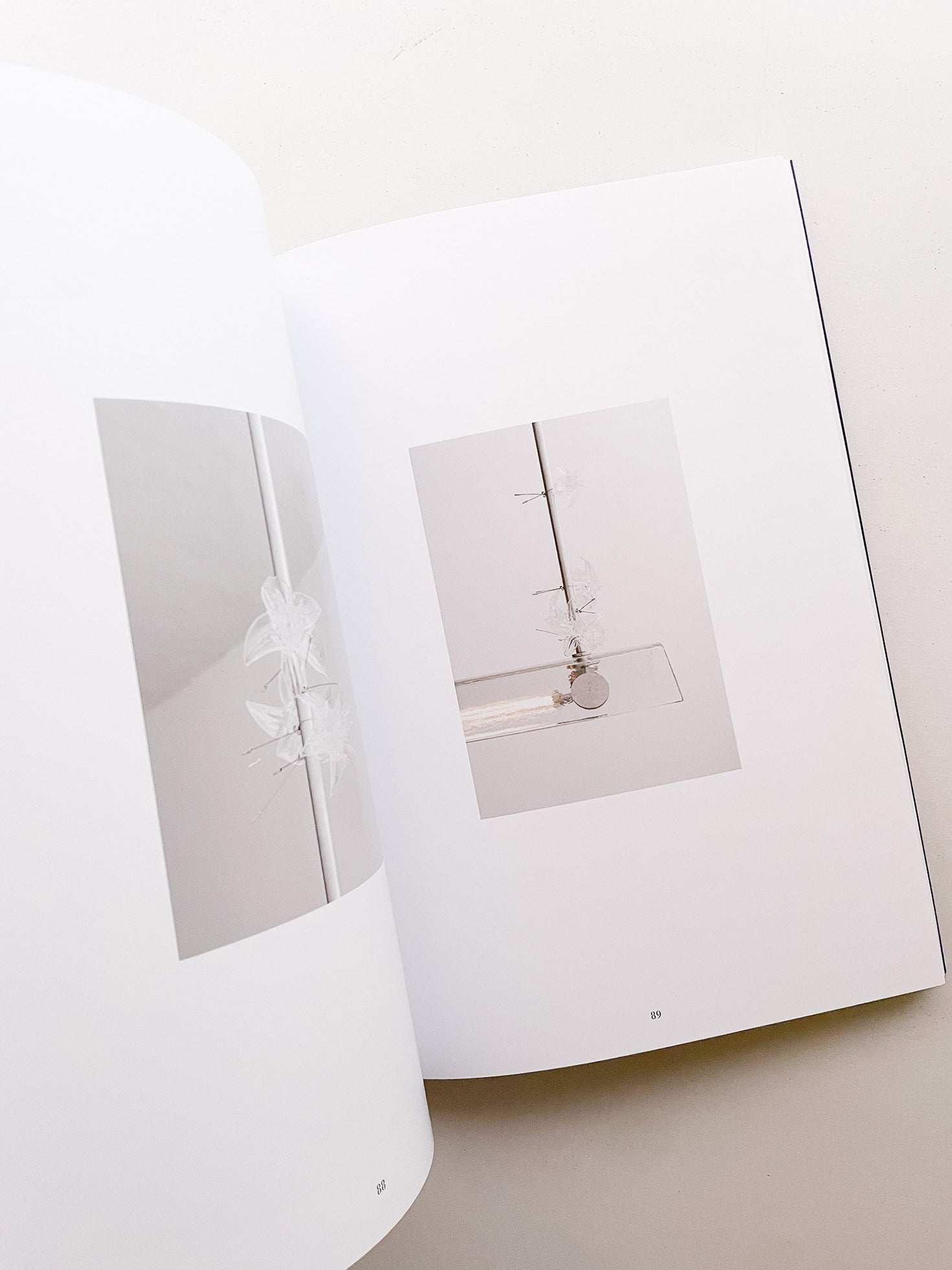 LA CASA DENTRO / Formafantasma [NUMBERED]