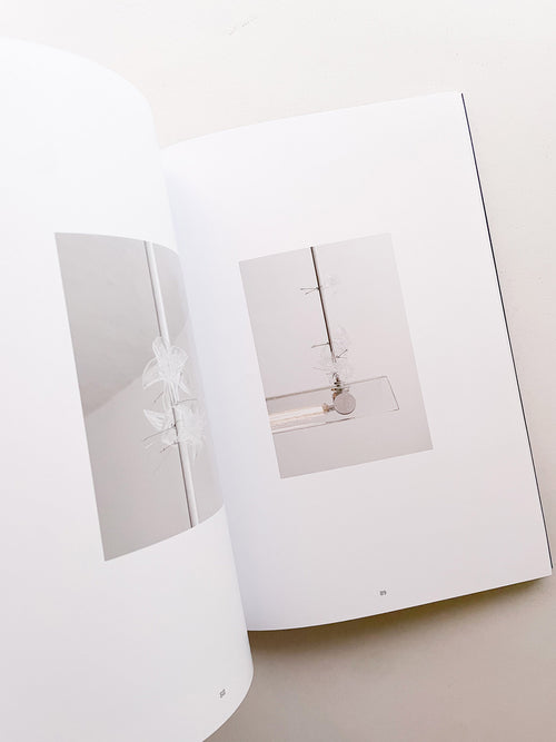 LA CASA DENTRO / Formafantasma [NUMBERED]