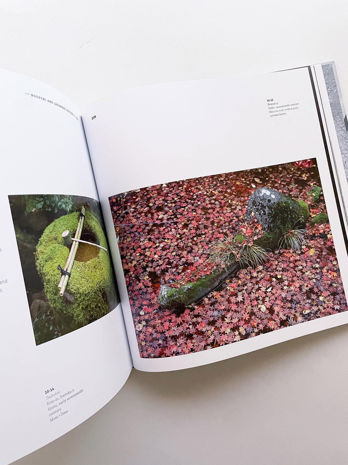 NOGUCHI'S GARDEN LANDSCAPE AS SCULPTURE / Isamu Noguchi - 本 屋 青