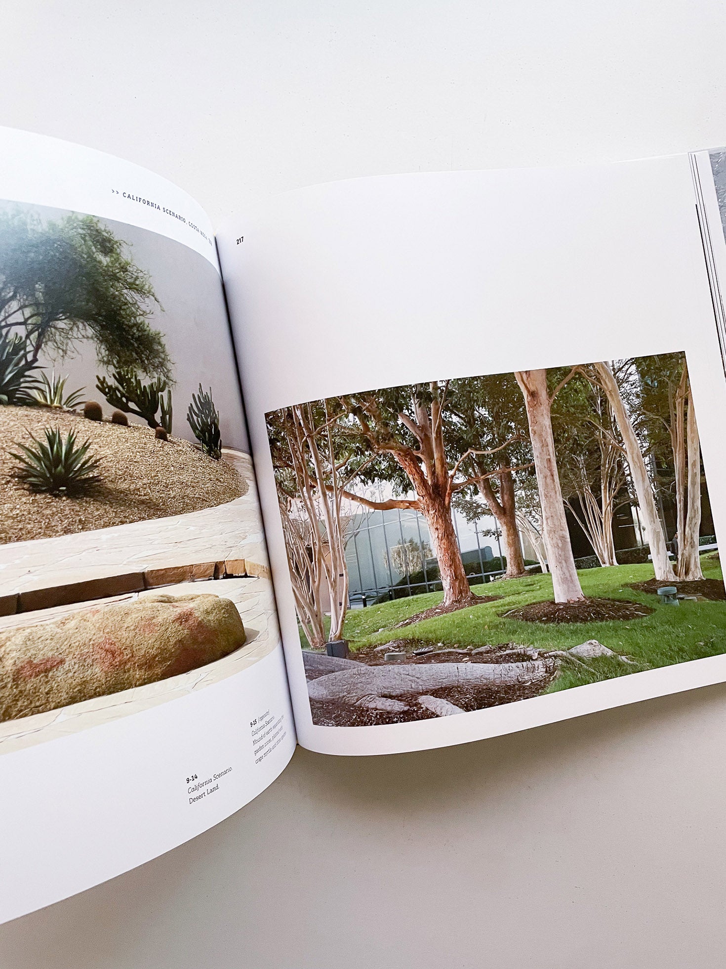 NOGUCHI'S GARDEN LANDSCAPE AS SCULPTURE / Isamu Noguchi - 本 屋 青