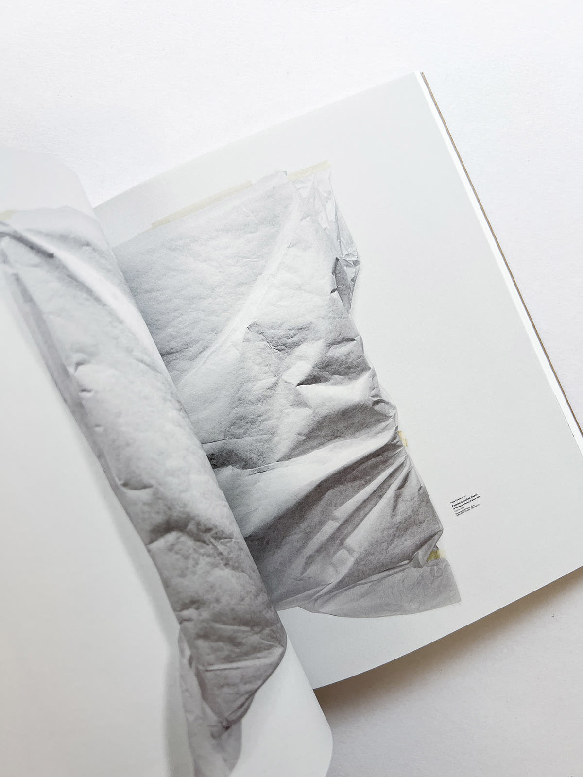 PICALSO / Sophie Calle