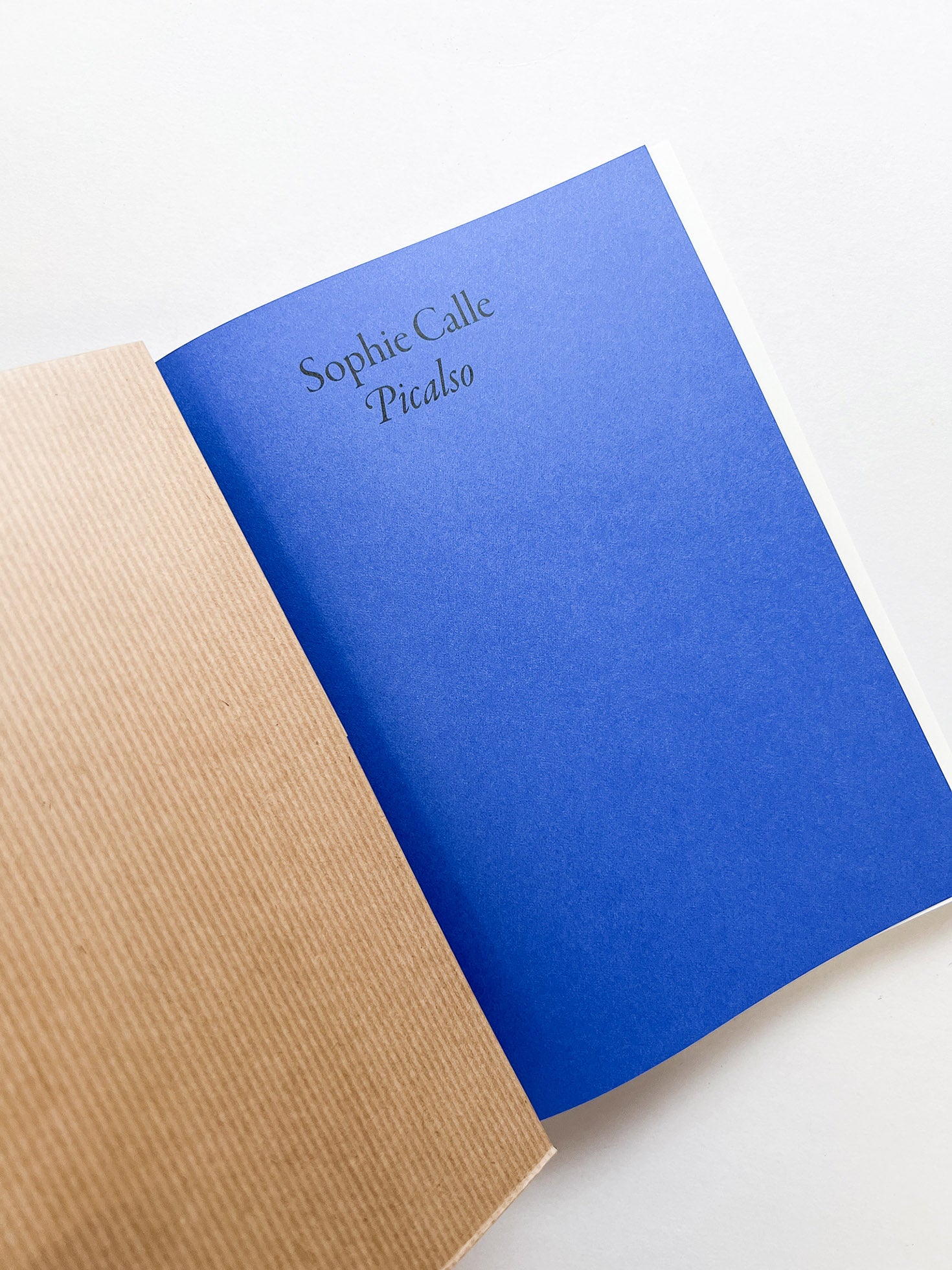 PICALSO / Sophie Calle