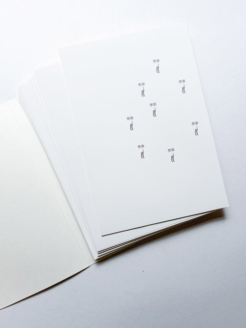 PASSAGE COSMO TO FISHY TRAVELS / rirkrit tiravanija