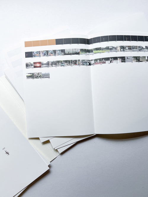 PASSAGE COSMO TO FISHY TRAVELS / rirkrit tiravanija