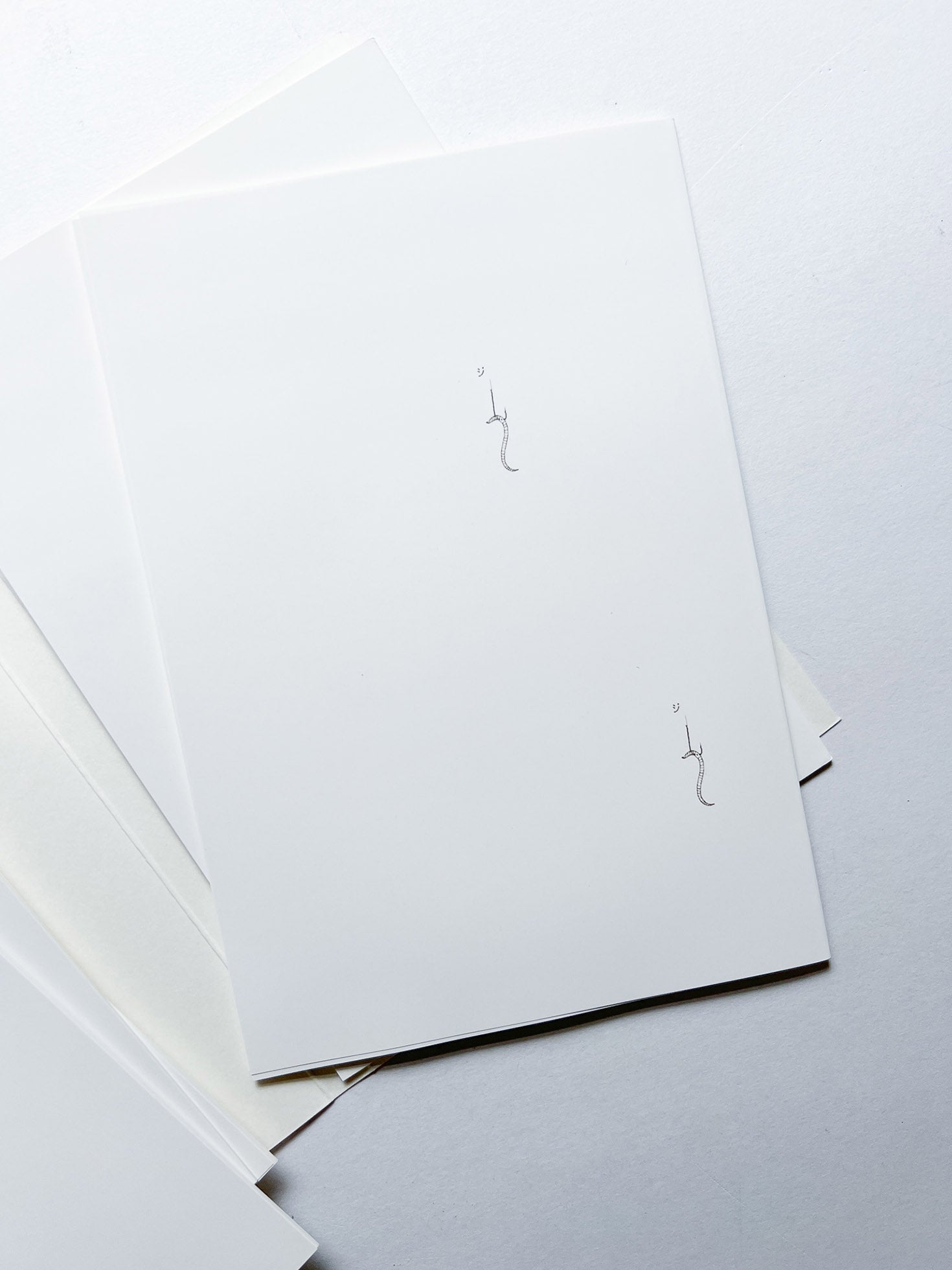 PASSAGE COSMO TO FISHY TRAVELS / rirkrit tiravanija