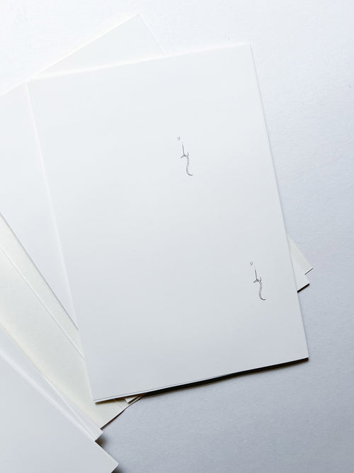 PASSAGE COSMO TO FISHY TRAVELS / rirkrit tiravanija