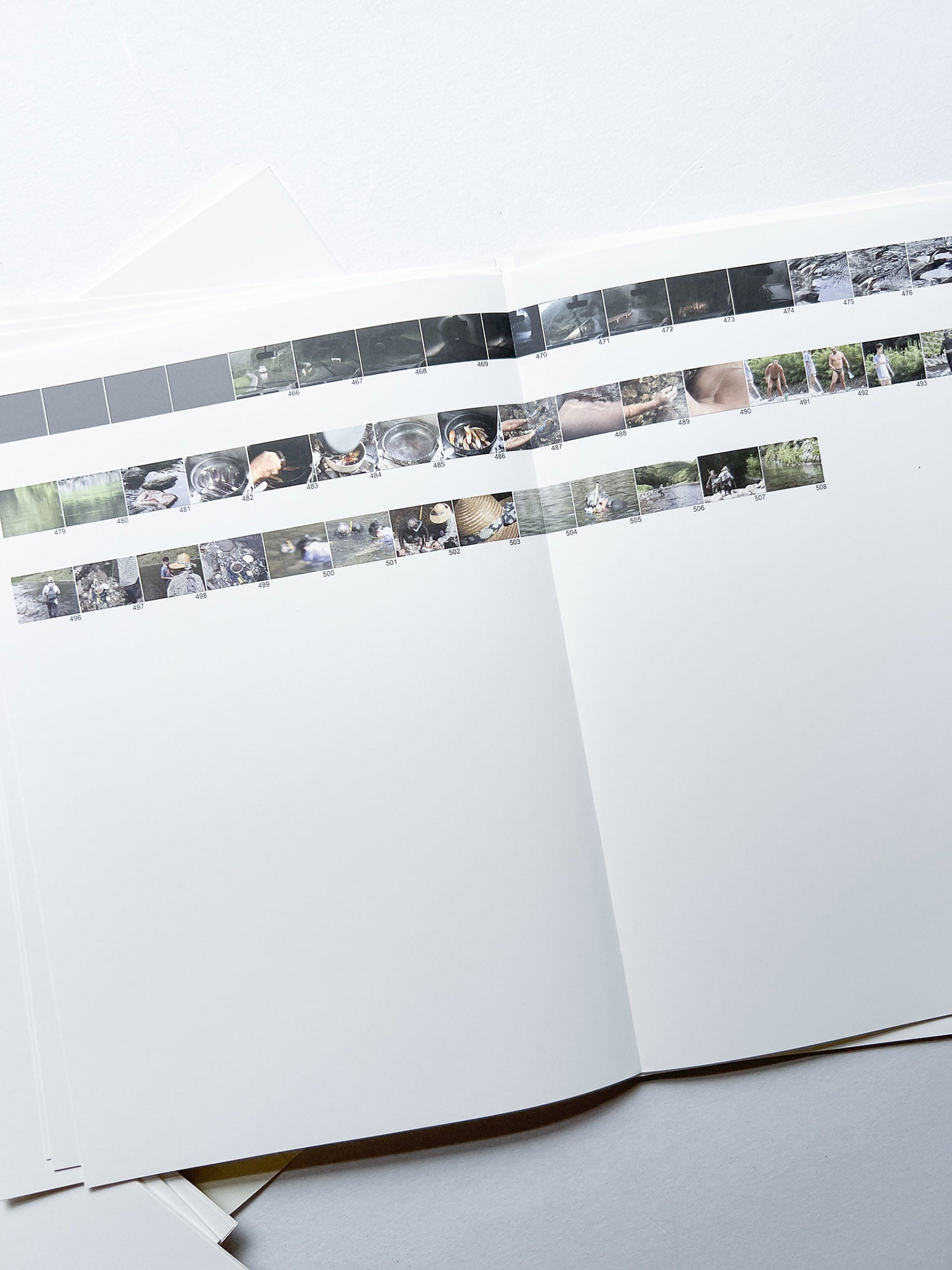 PASSAGE COSMO TO FISHY TRAVELS / rirkrit tiravanija