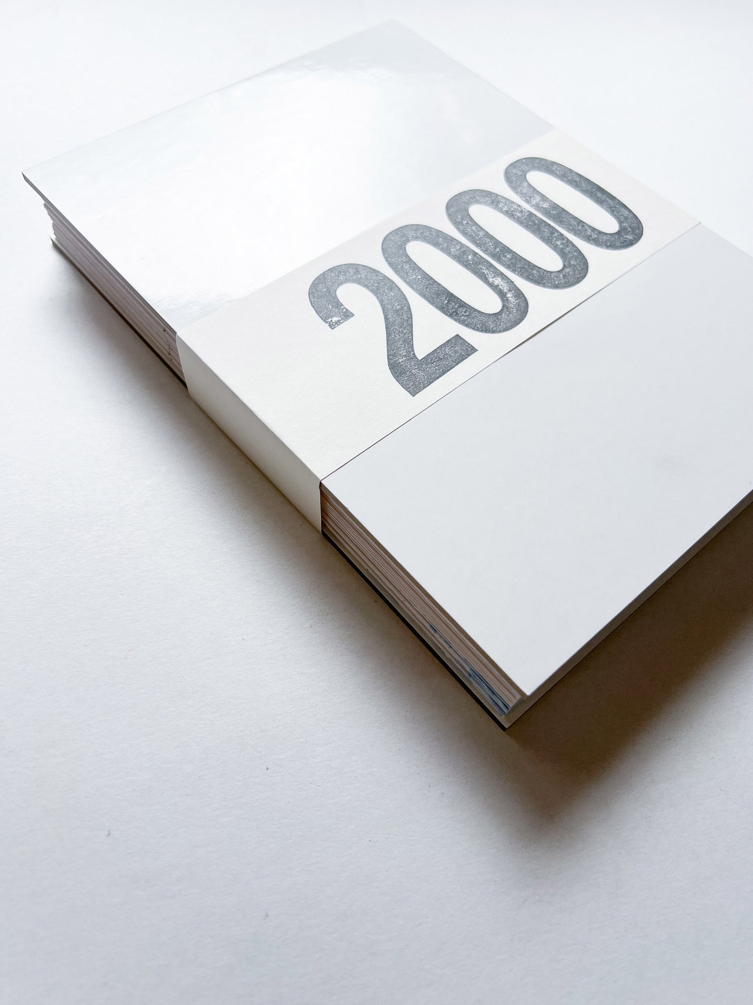 Diary 2000 / Marijke van Warmerdam