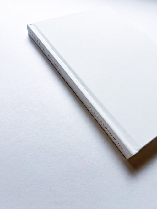 TABLEAUX 1997-1998 / Xavier Veilhan