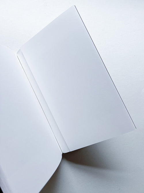 TABLEAUX 1997-1998 / Xavier Veilhan