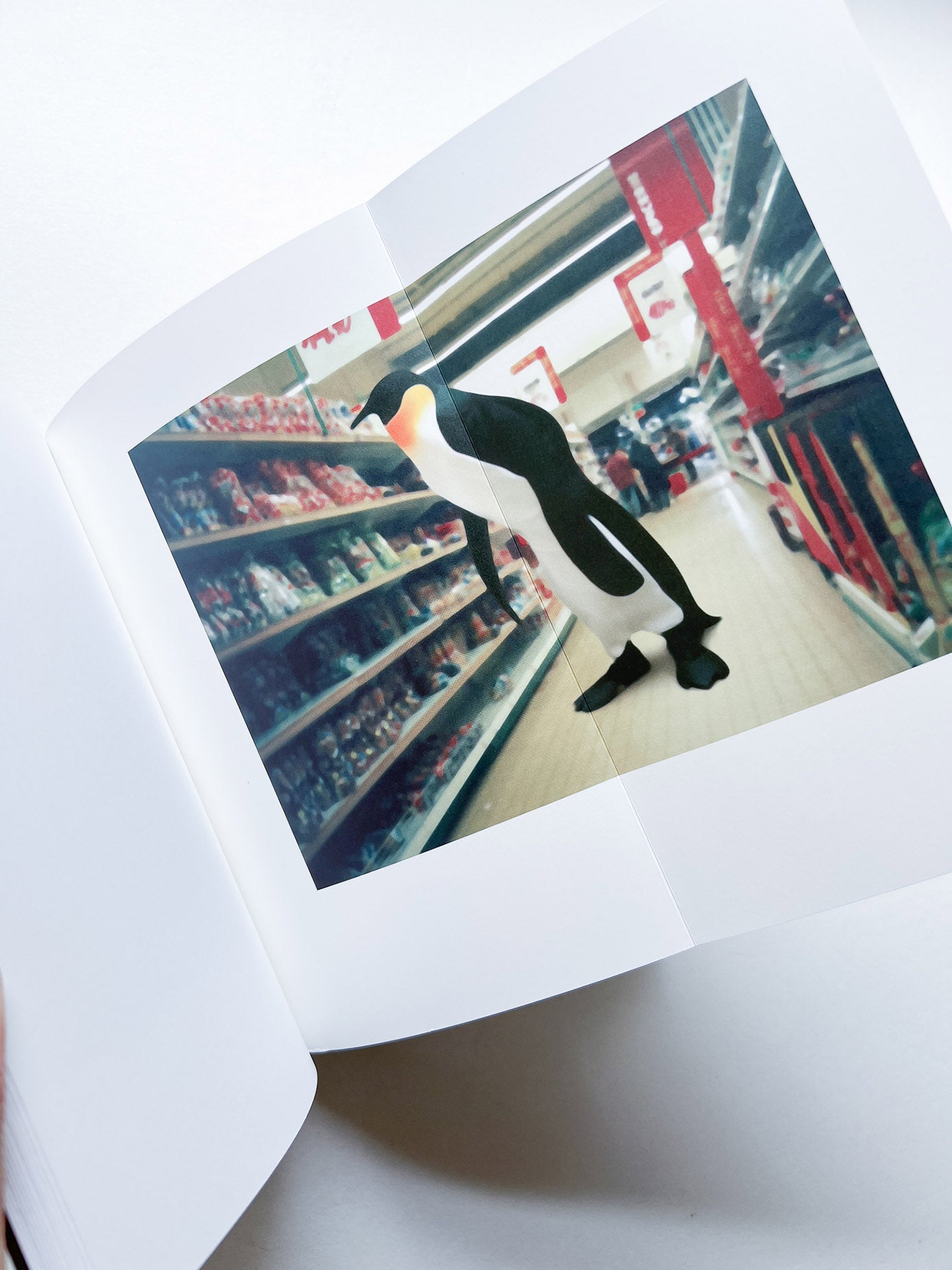 TABLEAUX 1997-1998 / Xavier Veilhan