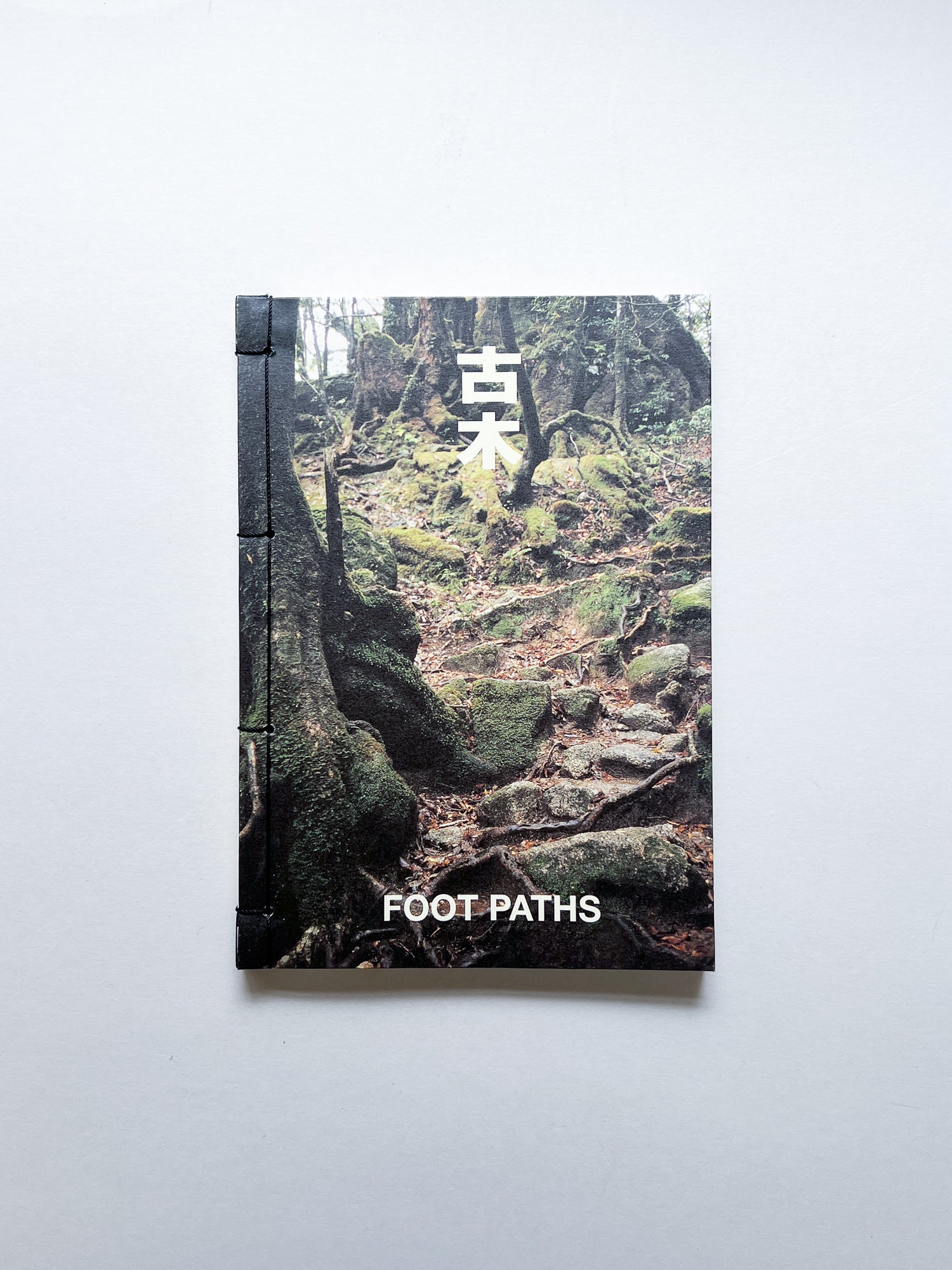 OLD TREE / Hamish Fulton