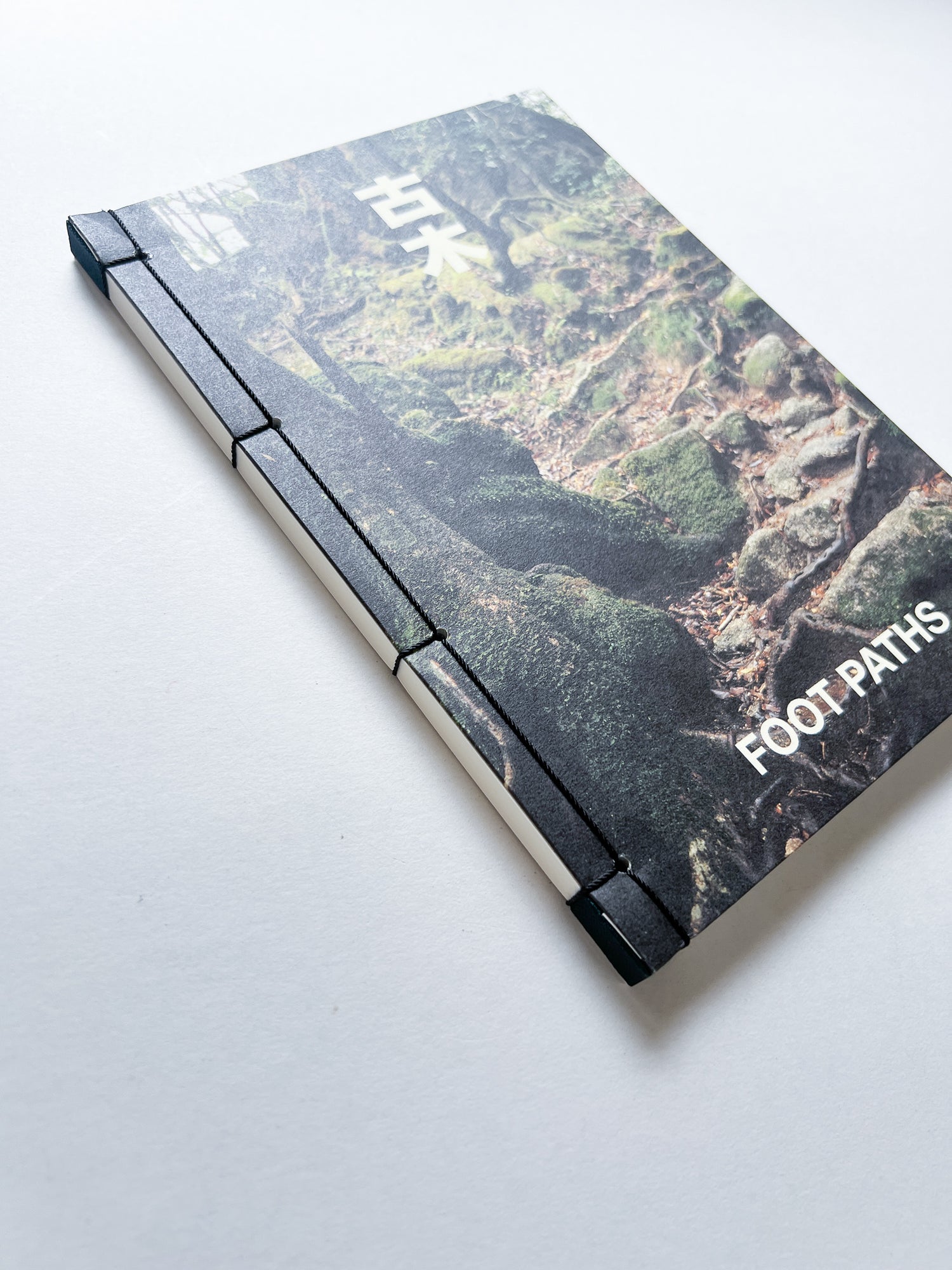 OLD TREE / Hamish Fulton