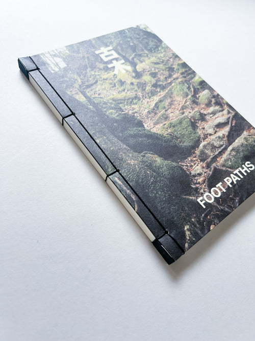 OLD TREE / Hamish Fulton