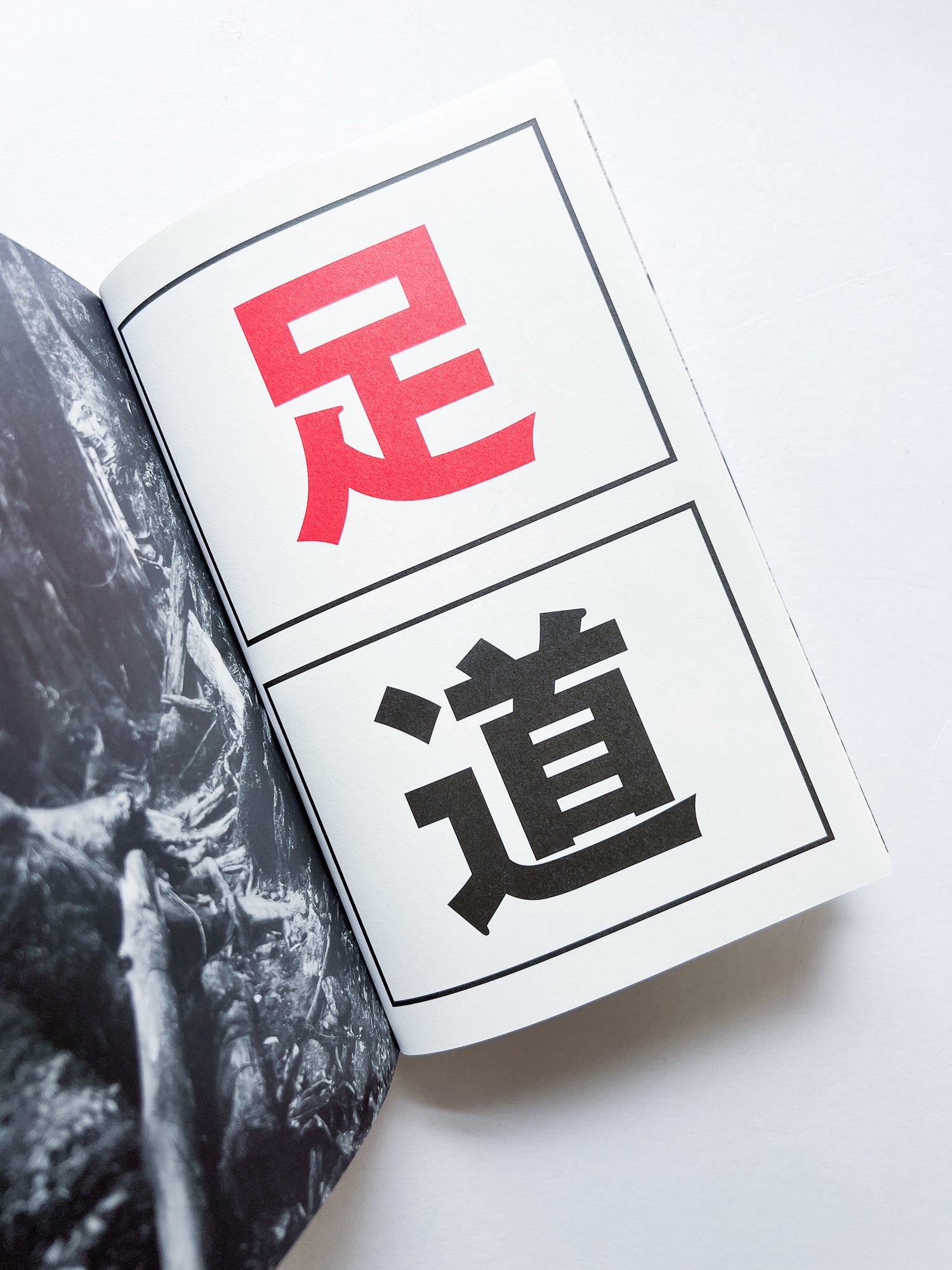 OLD TREE / Hamish Fulton