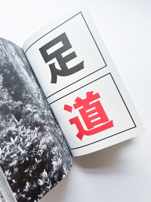 OLD TREE / Hamish Fulton