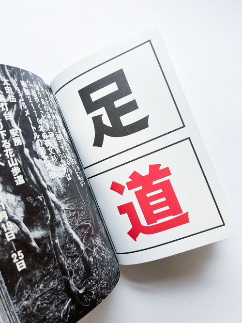 OLD TREE / Hamish Fulton