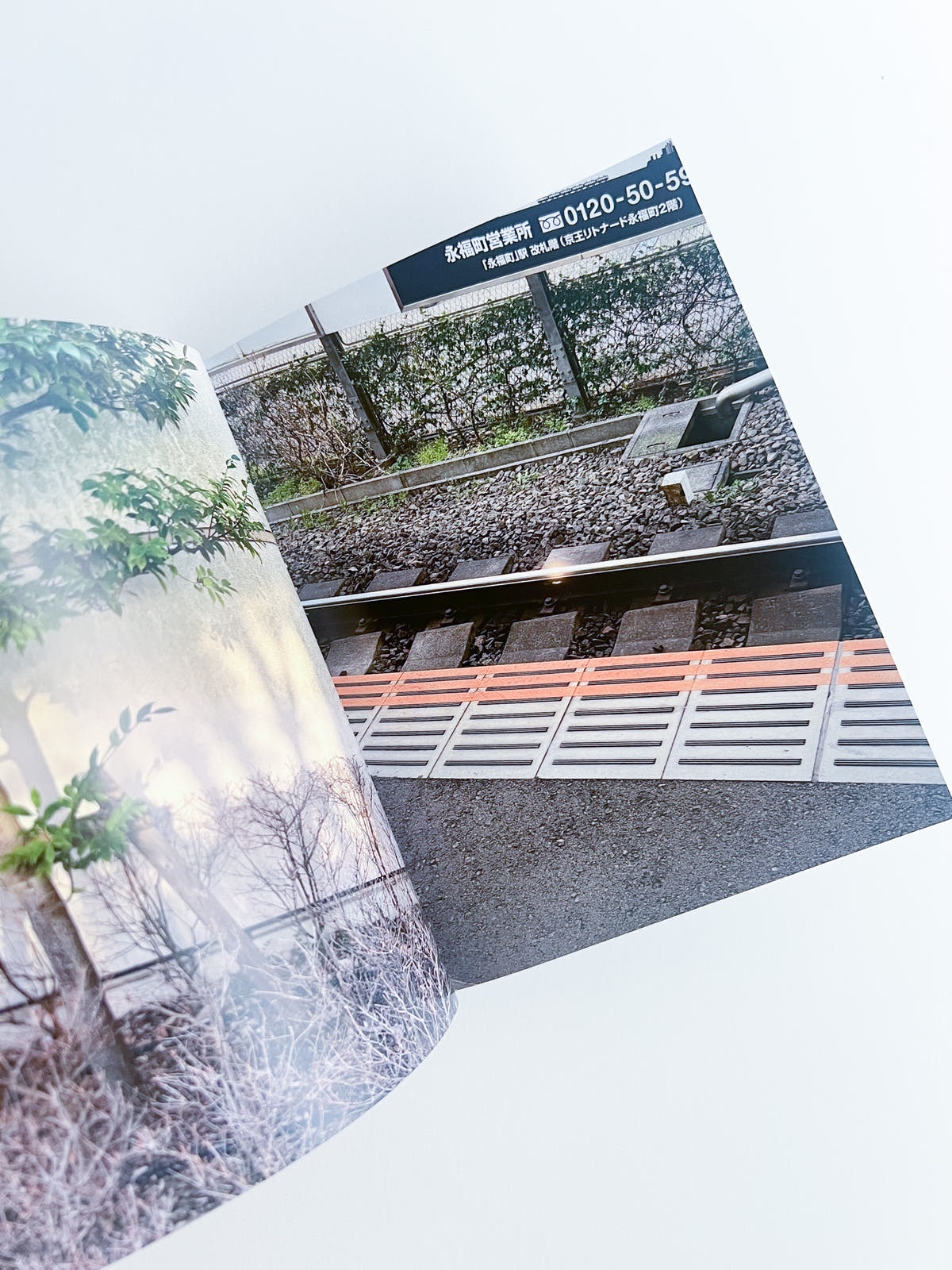 Good Echo / Takuto Okamoto