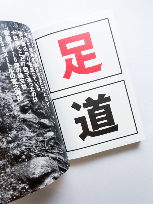 OLD TREE / Hamish Fulton