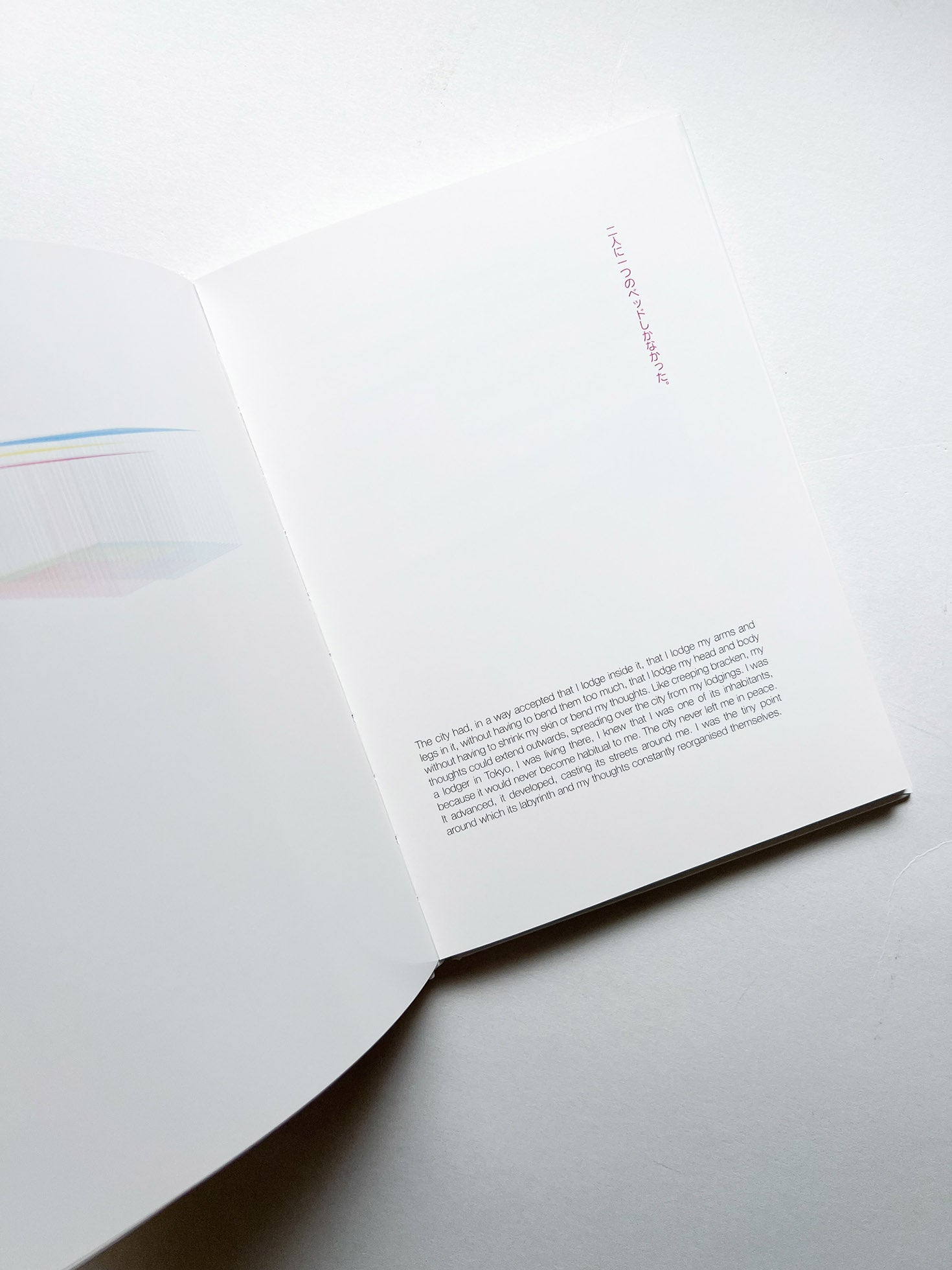 GHOST FLAT / Decosterd Rahm