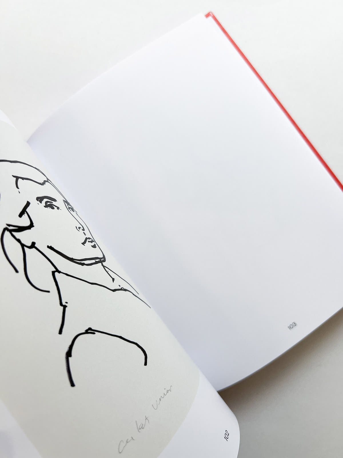 AUTUMN / Alex Katz