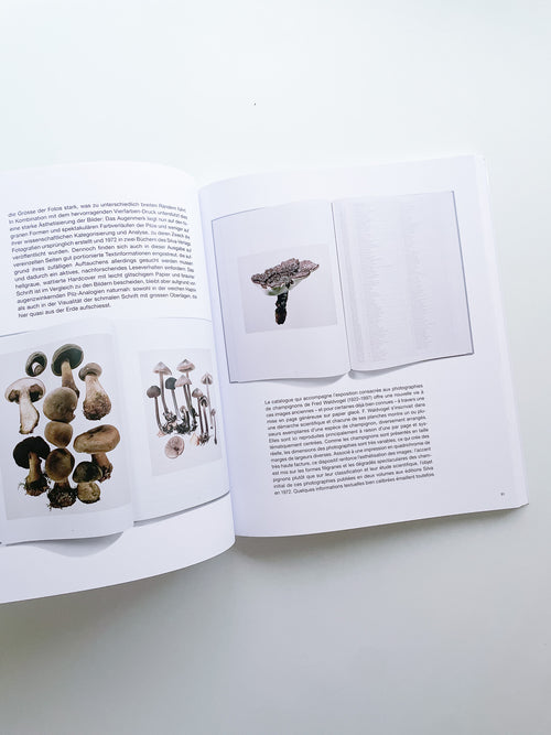 The Most Beautiful Swiss Books 2025