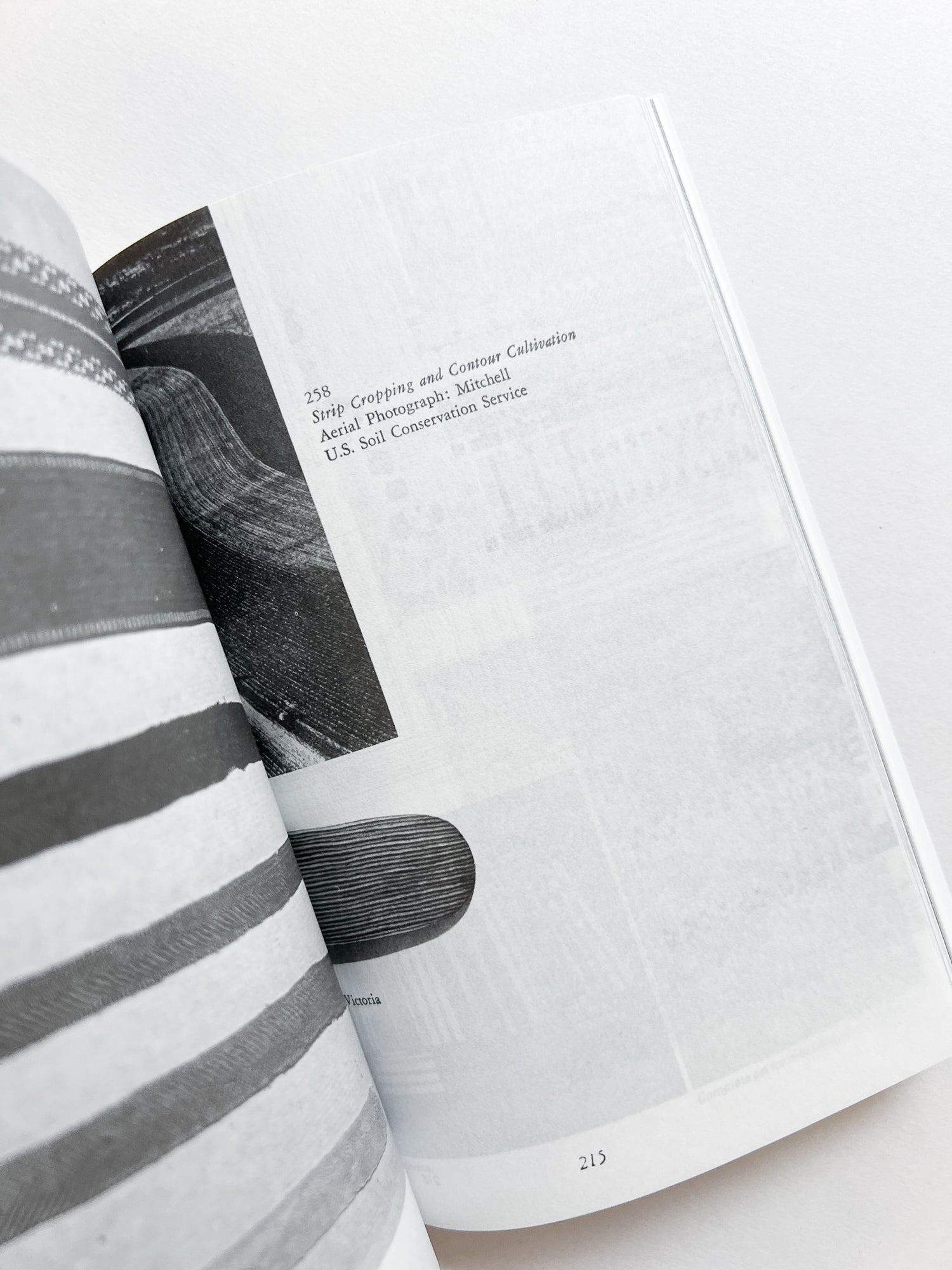 REPETITION, REPETITION, / Anni's