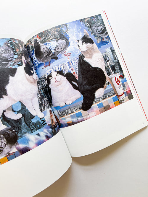 Light / Koichi Enomoto