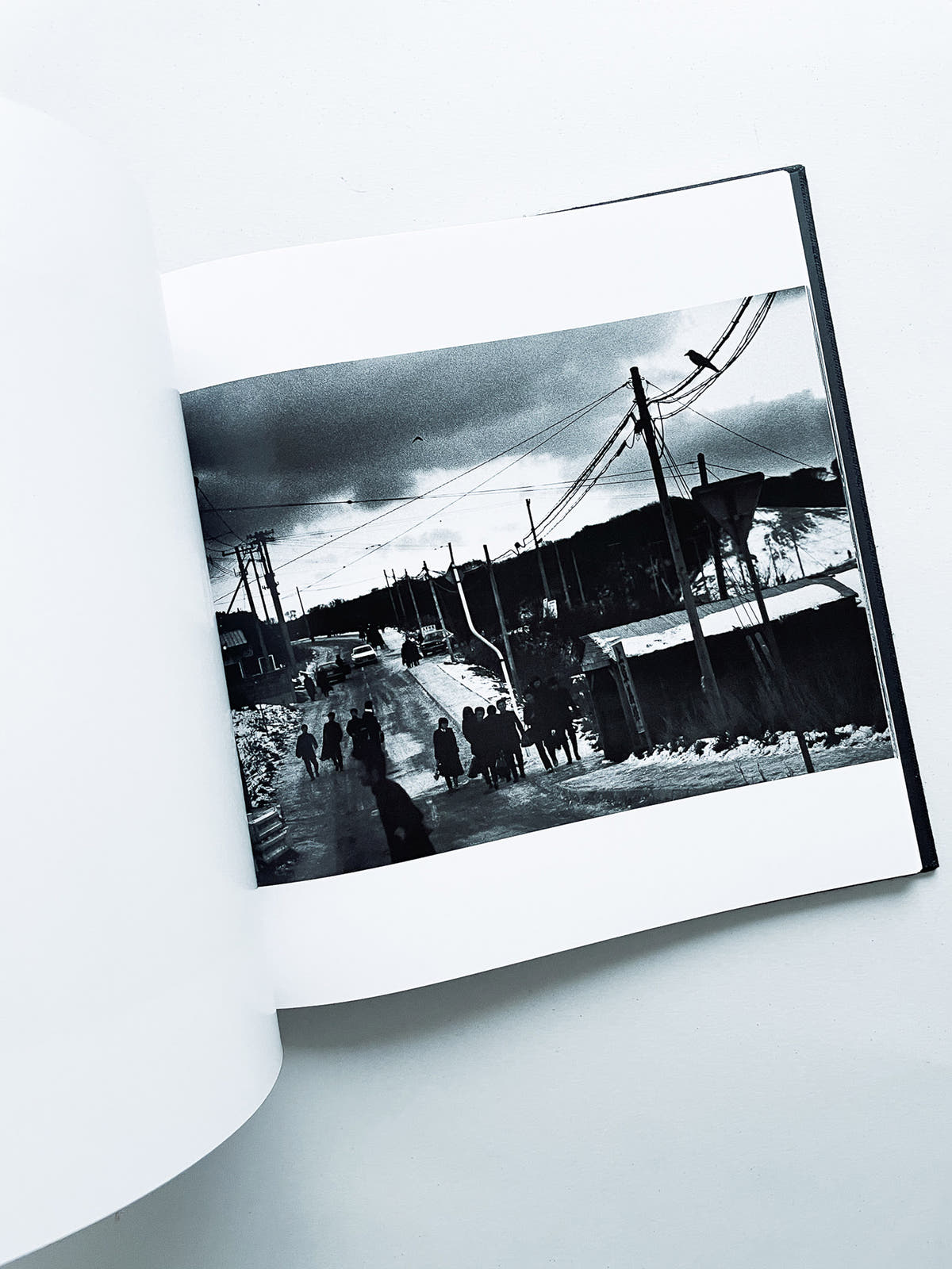 鴉 RAVENS / Masahisa Fukase