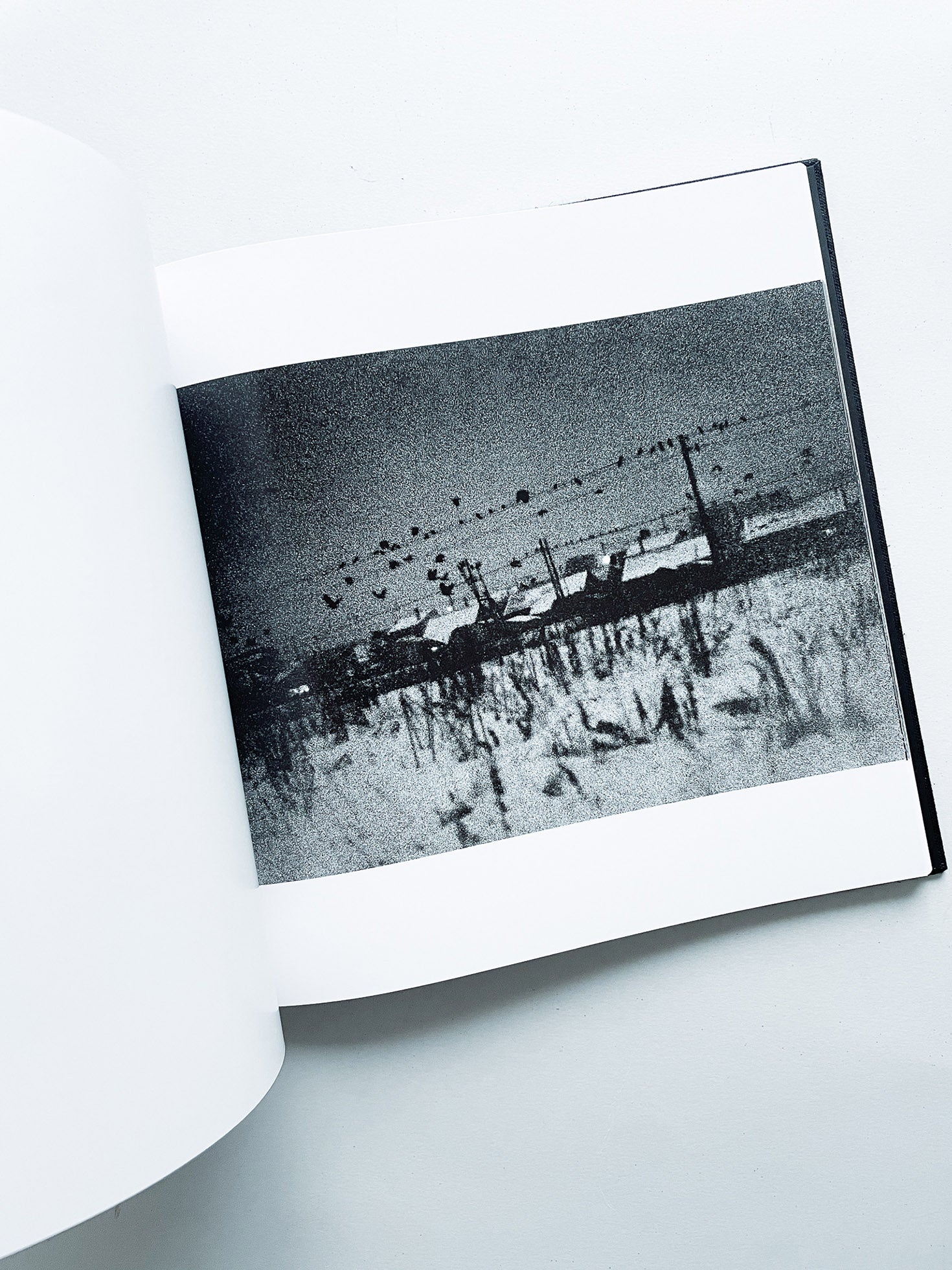 鴉 RAVENS / Masahisa Fukase - 本 屋 青 旗 Ao-Hata Bookstore