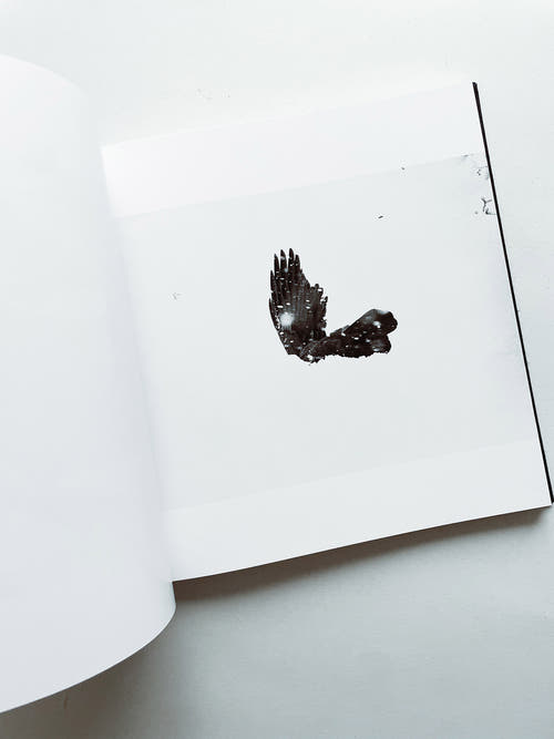 鴉 RAVENS / Masahisa Fukase