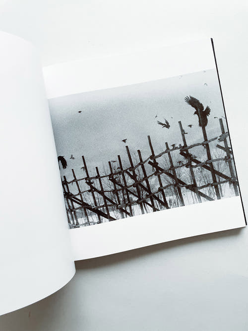 鴉 RAVENS / Masahisa Fukase