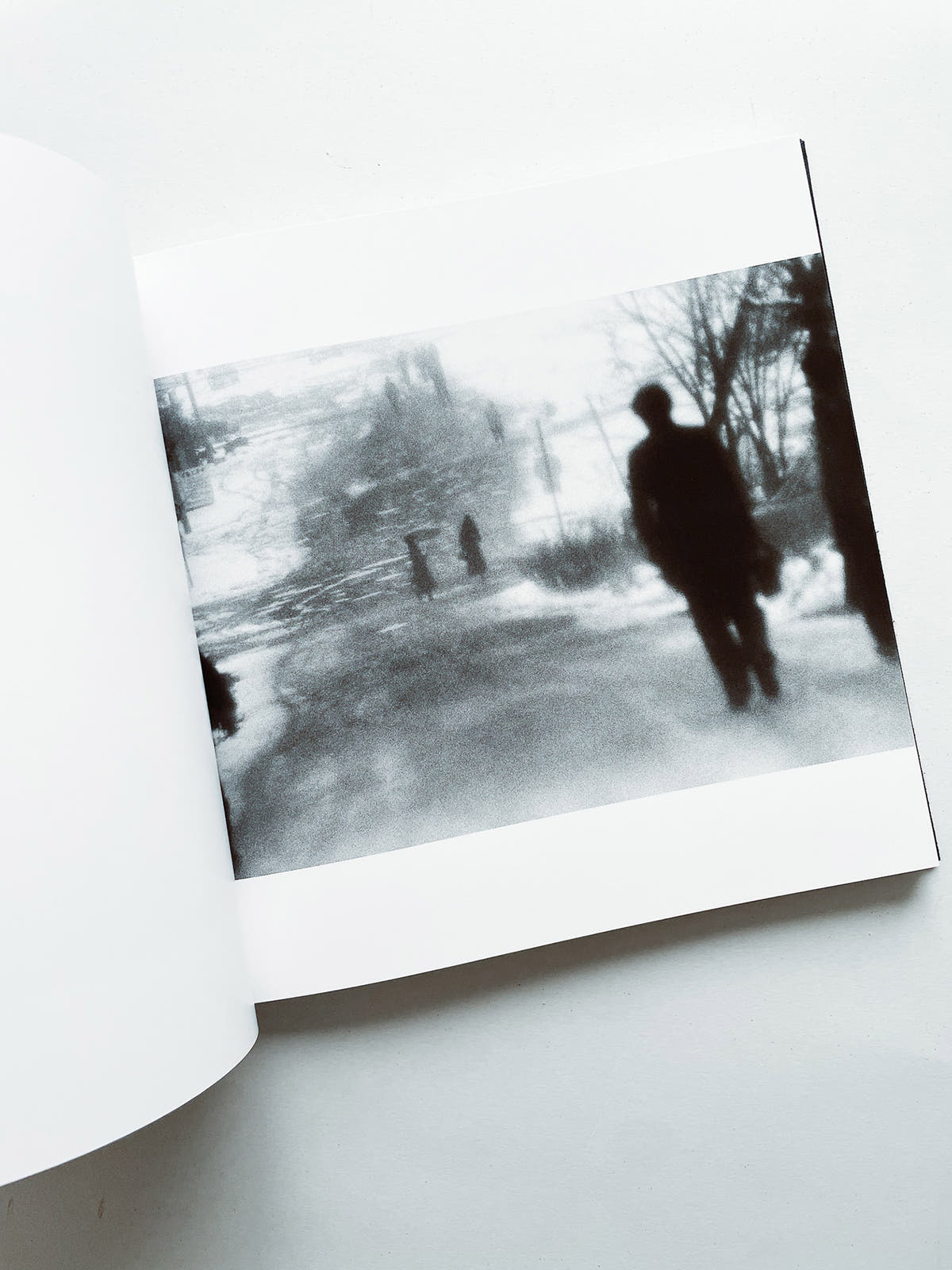 鴉 RAVENS / Masahisa Fukase