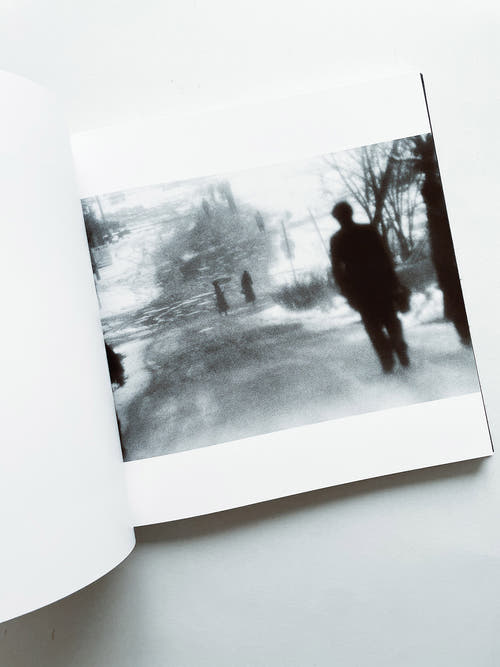 鴉 RAVENS / Masahisa Fukase