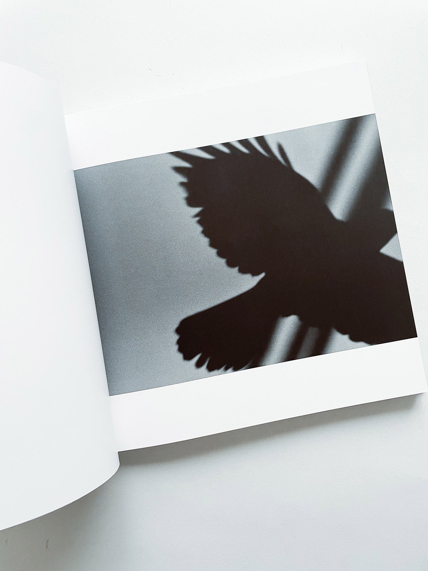 鴉 RAVENS / Masahisa Fukase