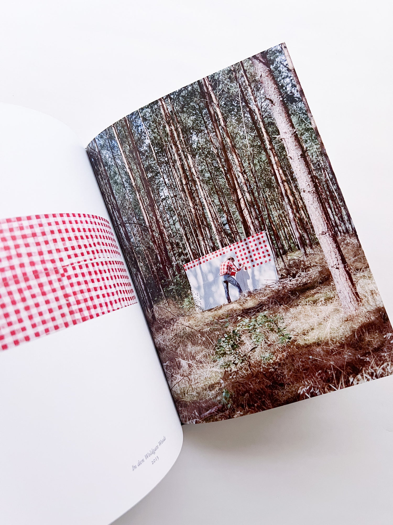 Und im Sommer tu ich malen / Fabian Schubert, Hank Schmidt in der Beek [Third Edition]