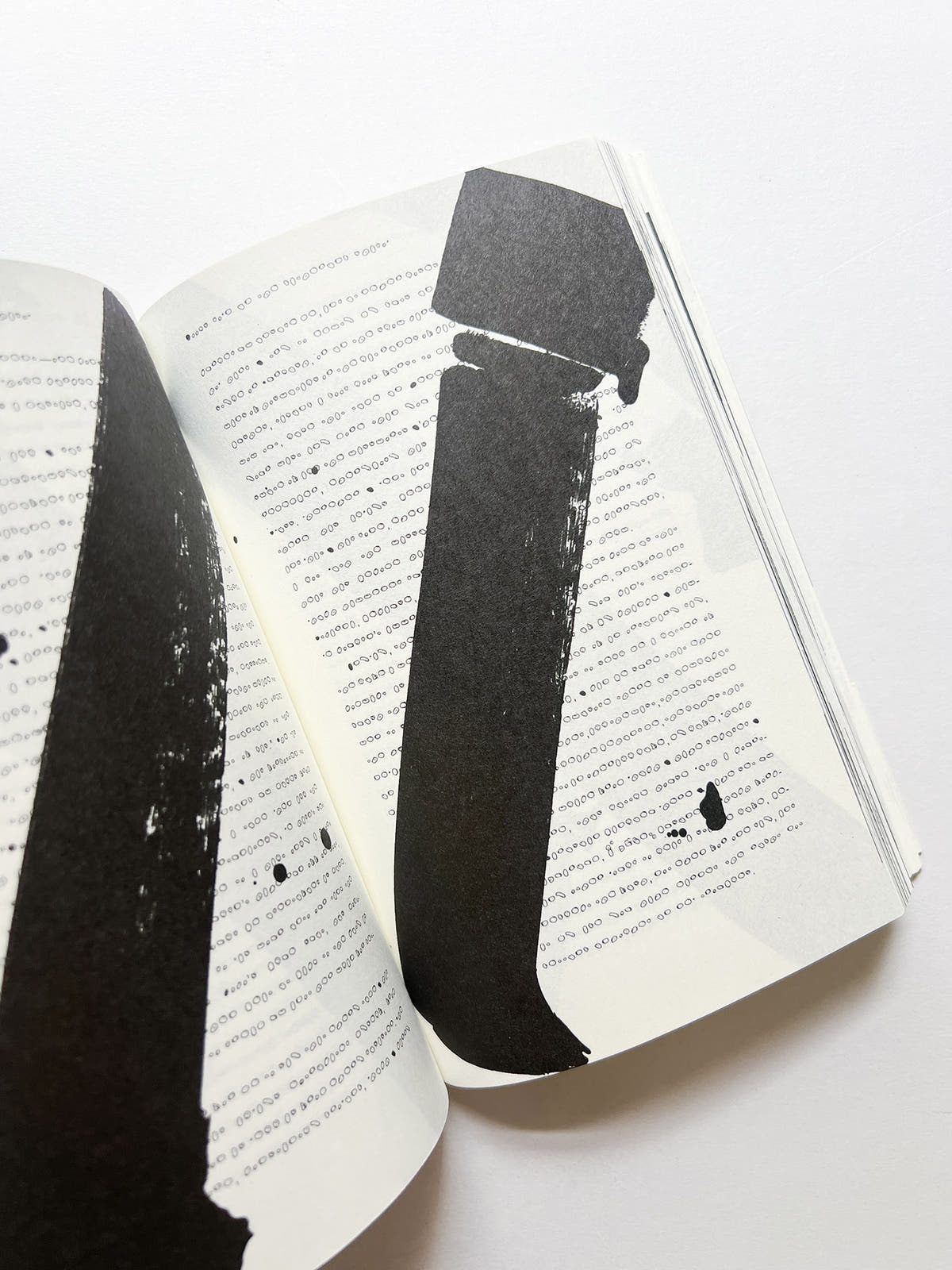 STABS AT ACADEMIA WITH PAINTERS TOOLS / Ryan Gander