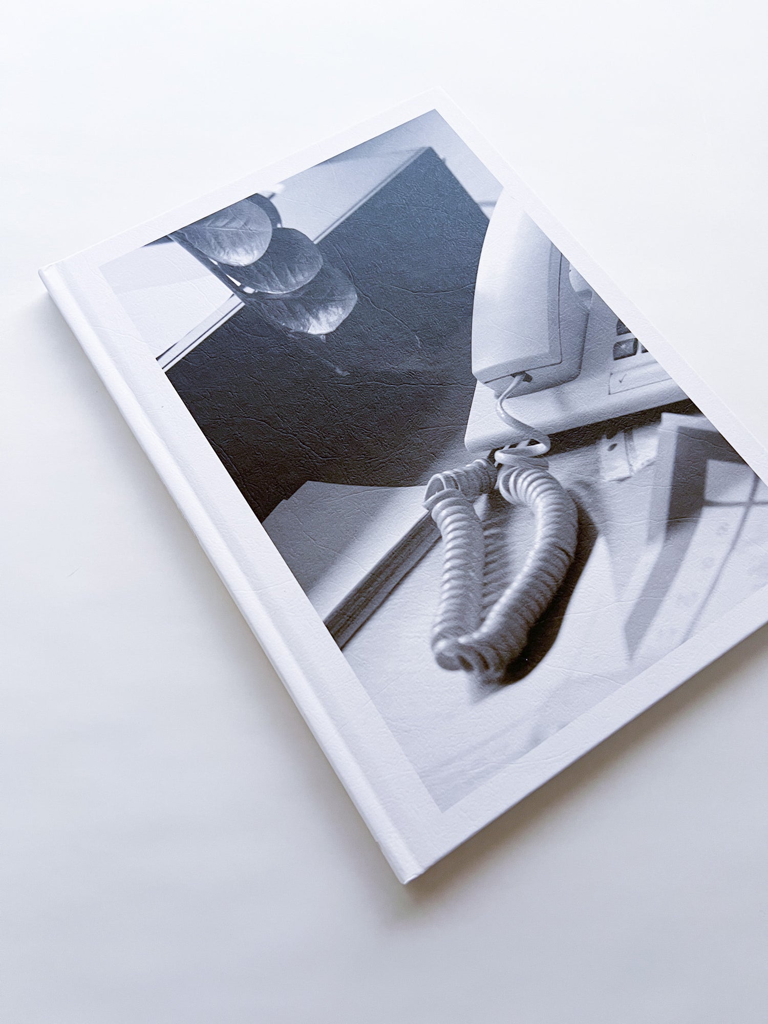 Büropflanze / Saskia Groneberg