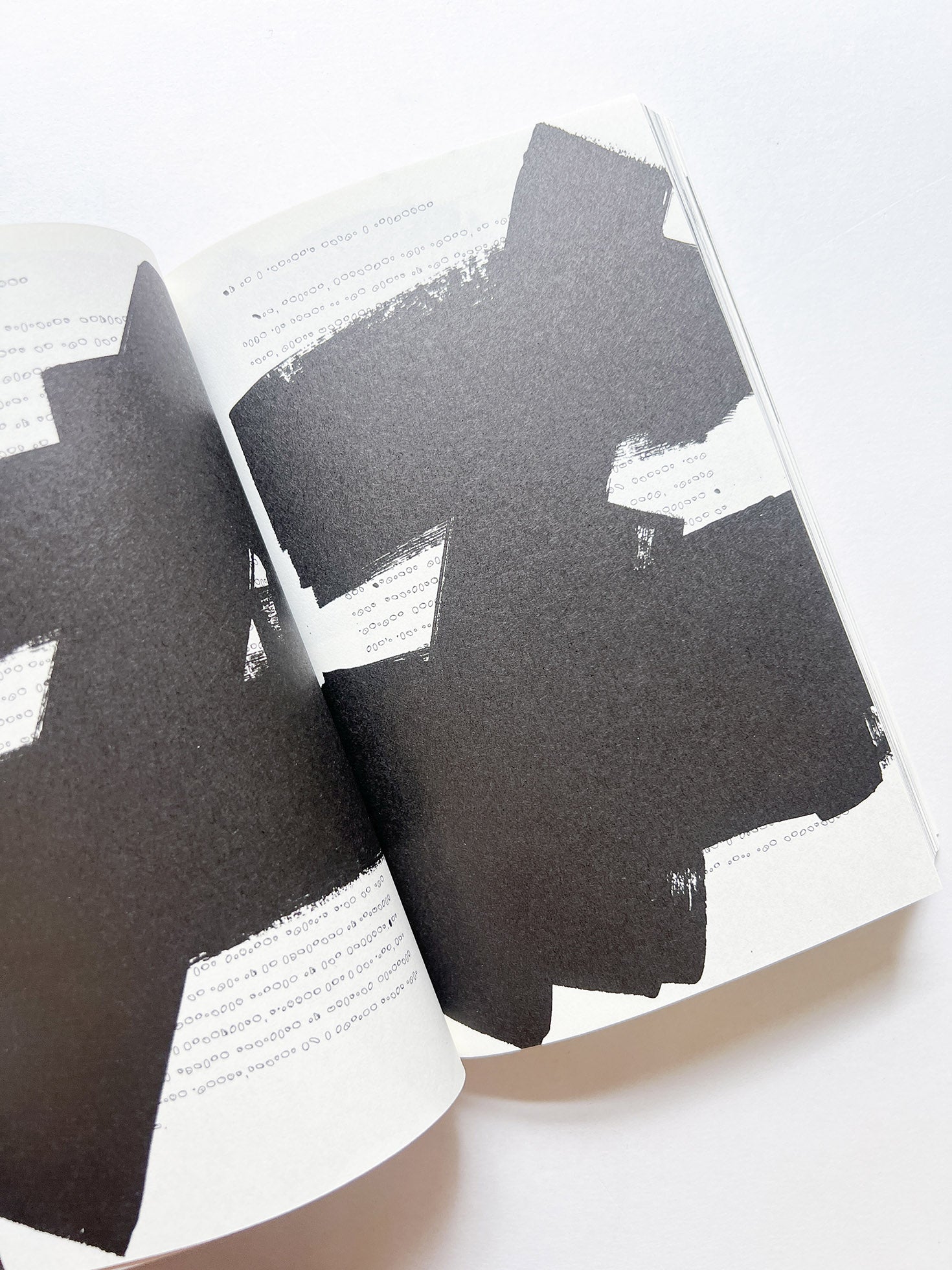 STABS AT ACADEMIA WITH PAINTERS TOOLS / Ryan Gander