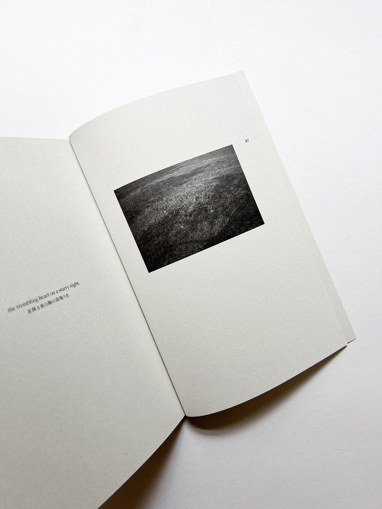 And Then / Yukihito Kono