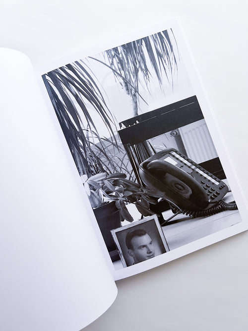 Büropflanze / Saskia Groneberg