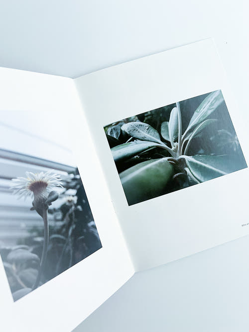Kedama Issue #01 2016 Spring by Sally Scott