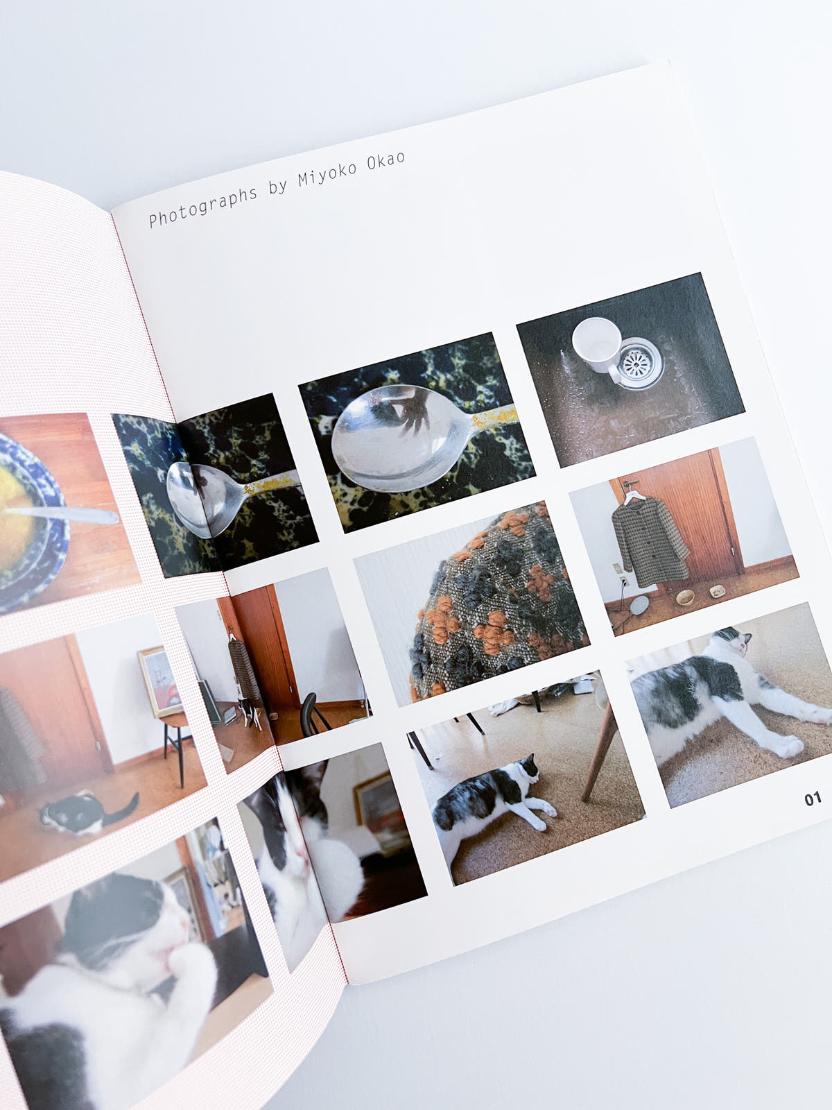 Nikukyu Issue #12 2012 Winter by Sally Scott