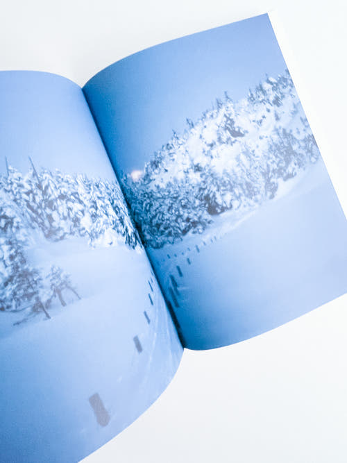 Nikukyu Issue #16 2013 Winter by Sally Scott