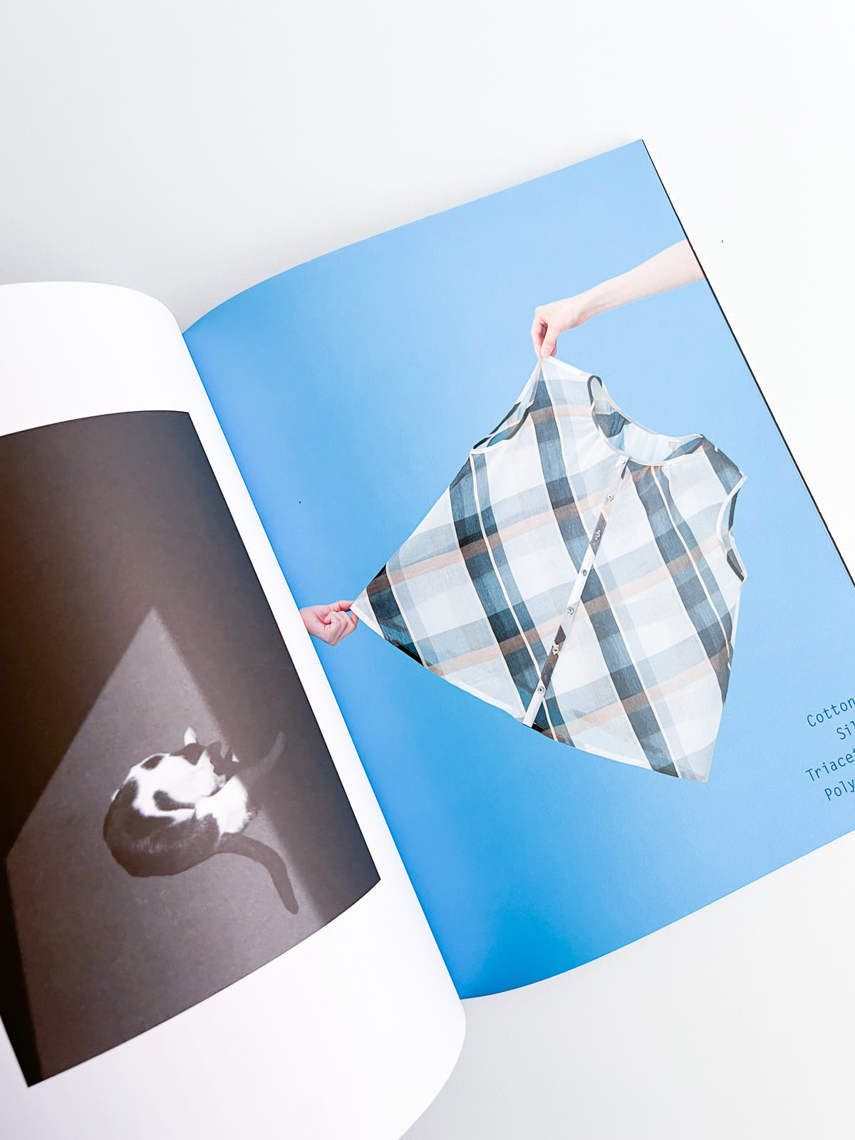 Nikukyu Issue #18 2014 Autumn by Sally Scott