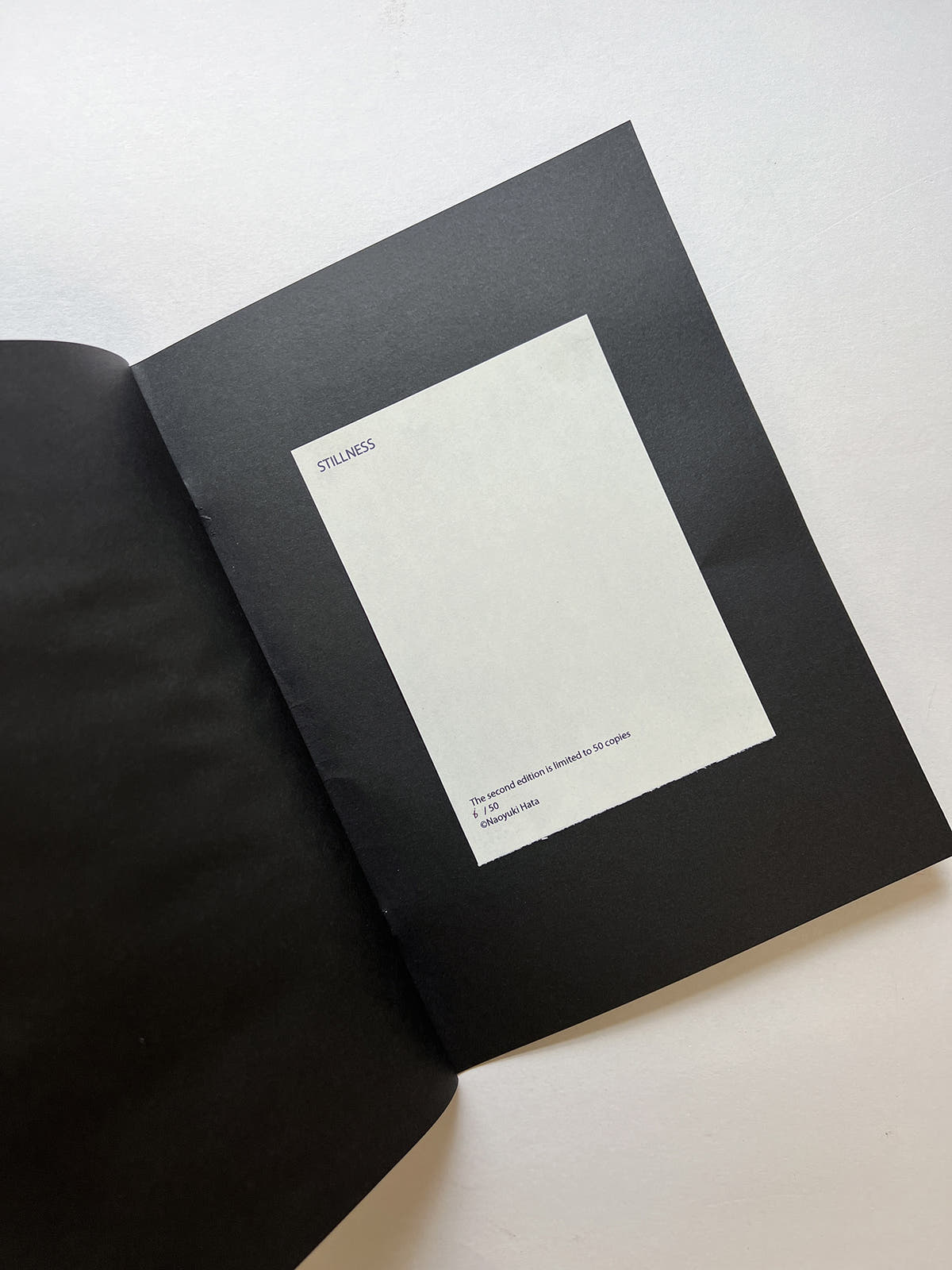 STILLNESS (Second Edition) / Naoyuki Hata