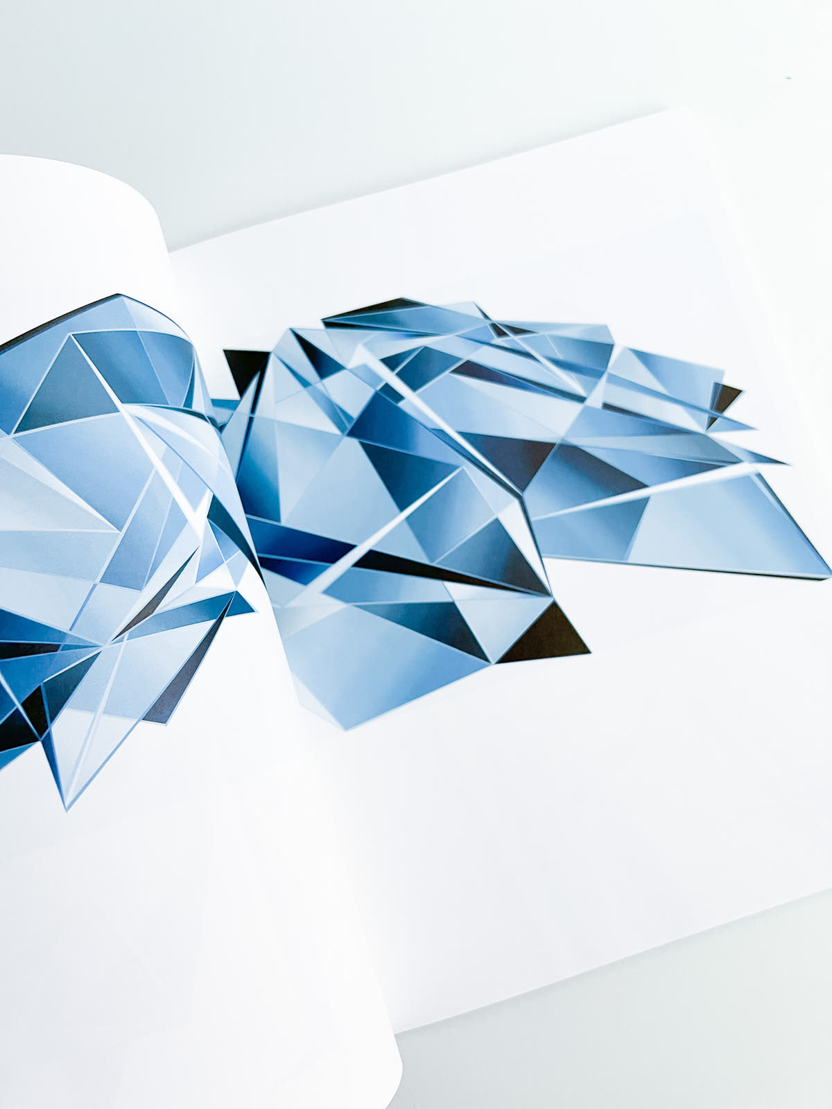 Nikukyu Issue #24 2015 Winter by Sally Scott