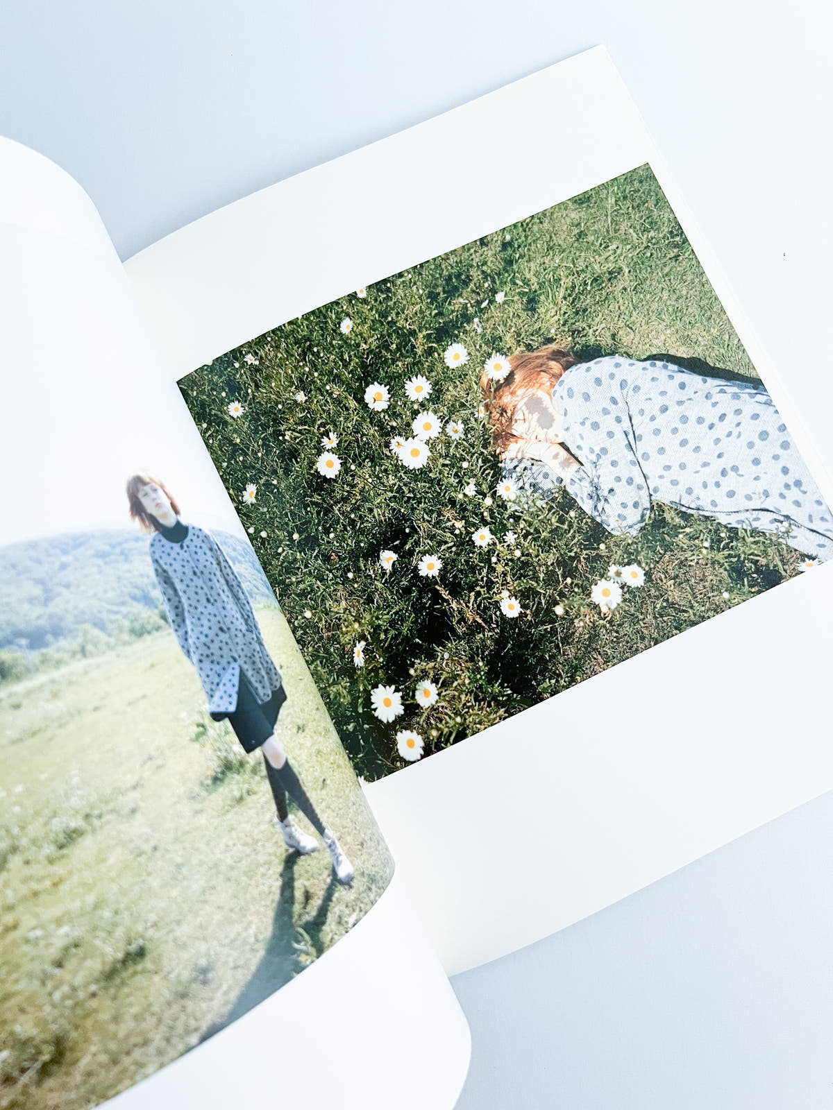 Nikukyu Issue #11 2012 Autumn by Sally Scott