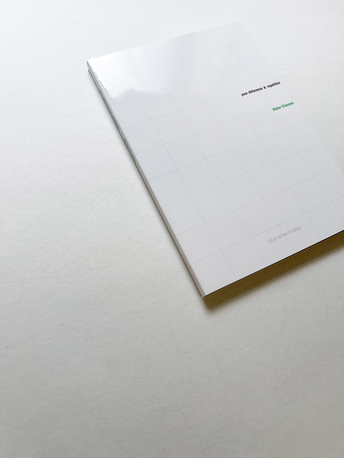 your difference & repetition / Olafur Eliasson